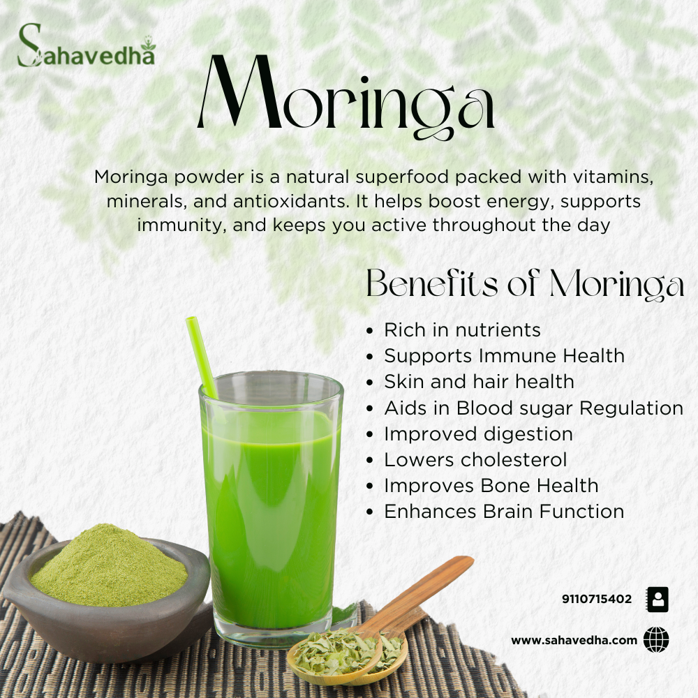 Organic Moringa Powder - Image 2