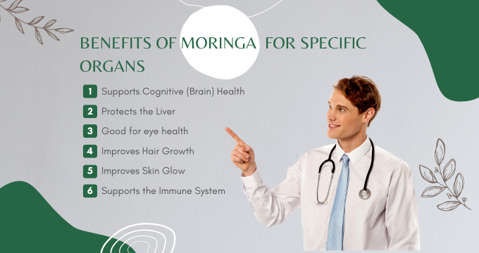 benefits of moringa for specific organs